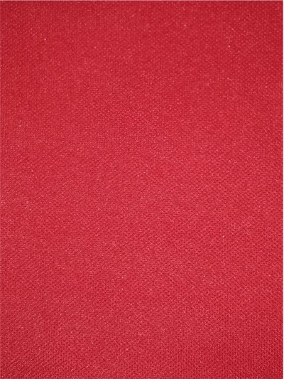 FJ-FRFE    DH-922  珠地布  全滌   205GSM   正面照